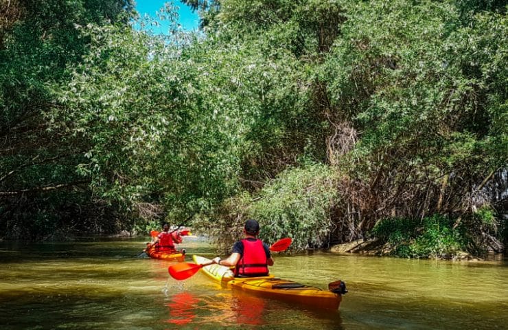 Tokaj - Bodrogzug kajaktúrák