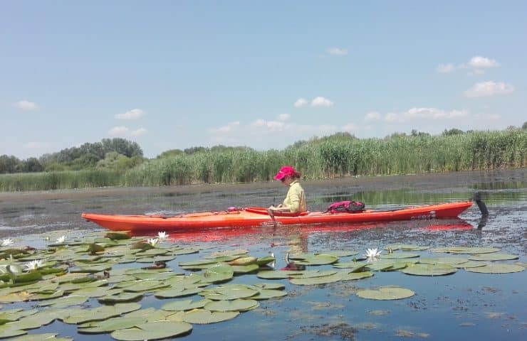Tisza-tó vizitúra, kajaktúra