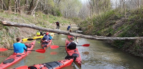 2024.05.18-19: Szigetköz Észak: Kajakos kanyargás Rajkától Doborgazig