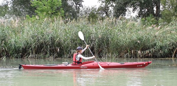 2024.04.06-07: Helló Tavasz, Mizu Szigetköz: Szezonindító Kajaktúra Boros Mikivel