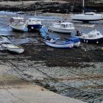 Anglesey 3. (2021.10.31) 11 Anglesey 3. (2021.10.31)