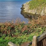 Anglesey 3. (2021.10.31) 12 Anglesey 3. (2021.10.31)