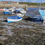 Anglesey 3. (2021.10.31) 13 Anglesey 3. (2021.10.31)