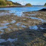 Anglesey 3. (2021.10.31) 15 Anglesey 3. (2021.10.31)