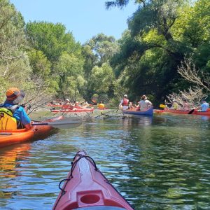 Felfedezés 2026 nagyturak