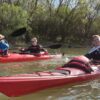 2024.04.06-07: Helló Tavasz, Mizu Szigetköz: Szezonindító Kajaktúra Boros Mikivel