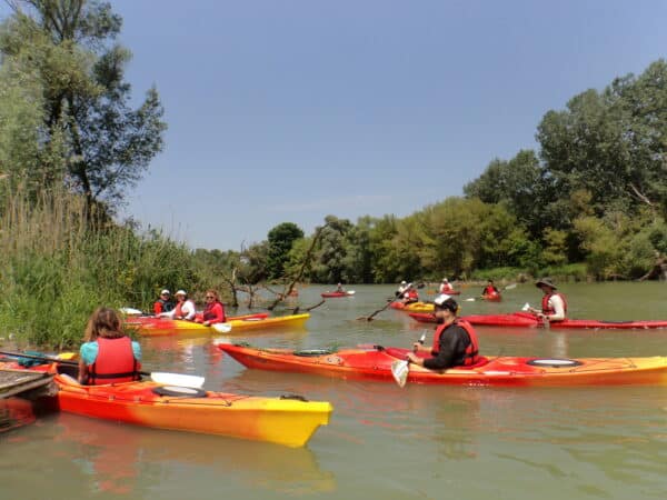 2024.04.06-07: Helló Tavasz, Mizu Szigetköz: Szezonindító Kajaktúra Boros Mikivel