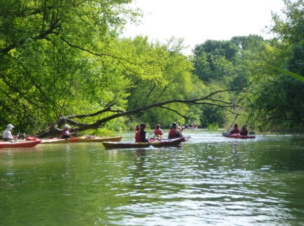 2024.04.06-07: Helló Tavasz, Mizu Szigetköz: Szezonindító Kajaktúra Boros Mikivel