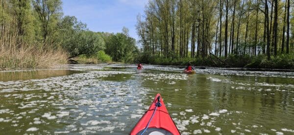 2025.04.11-13: Helló Tavasz, Mizu Szigetköz: Szezonindító Kajaktúra