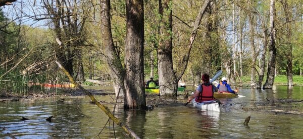 2025.04.11-13: Helló Tavasz, Mizu Szigetköz: Szezonindító Kajaktúra