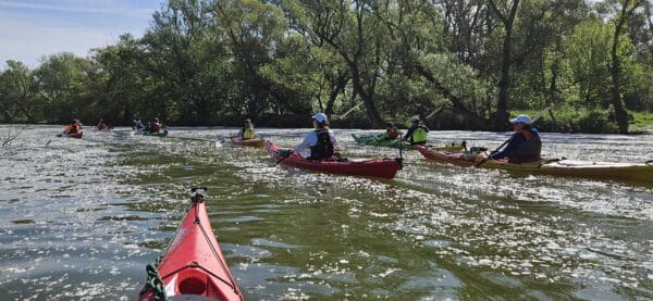 2025.04.11-13: Helló Tavasz, Mizu Szigetköz: Szezonindító Kajaktúra