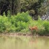 2025.06.28-07.01: Explorers Tisza Tavi Tábor tengerikajakosoknak KEZDŐ-ALAPOZÓ