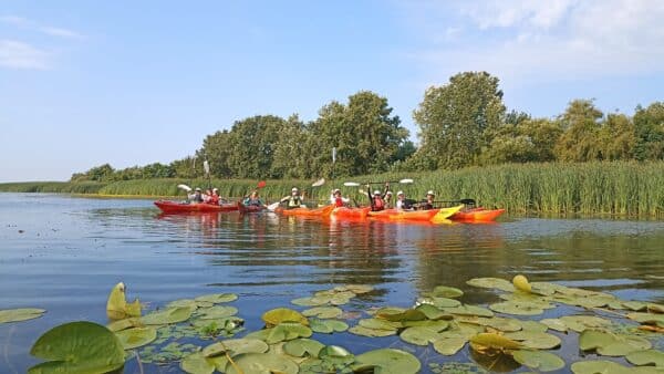 2025.07.05-08: Explorers Tisza Tavi Tábor tengerikajakosoknak KÖZÉPHALADÓ