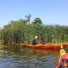 2025.07.05-08: Explorers Tisza Tavi Tábor tengerikajakosoknak KÖZÉPHALADÓ