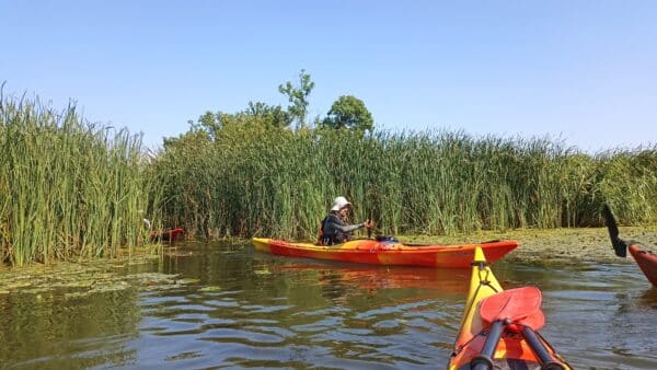 2025.07.05-08: Explorers Tisza Tavi Tábor tengerikajakosoknak KÖZÉPHALADÓ