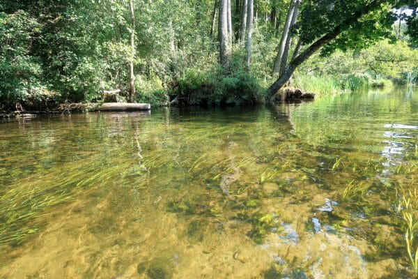 2025.07.17-23: Mazury-tavak egyhetes kajaktúra, Lengyelország