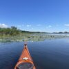 2025.06.28-07.01: Explorers Tisza Tavi Tábor tengerikajakosoknak KEZDŐ-ALAPOZÓ