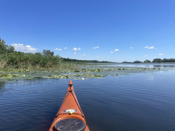 2025.06.28-07.01: Explorers Tisza Tavi Tábor tengerikajakosoknak KEZDŐ-ALAPOZÓ