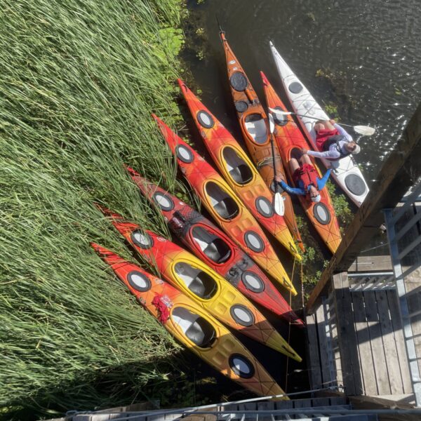 2025.06.28-07.01: Explorers Tisza Tavi Tábor tengerikajakosoknak KEZDŐ-ALAPOZÓ