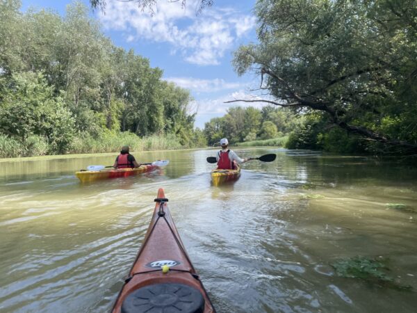 2025.06.28-07.01: Explorers Tisza Tavi Tábor tengerikajakosoknak KEZDŐ-ALAPOZÓ