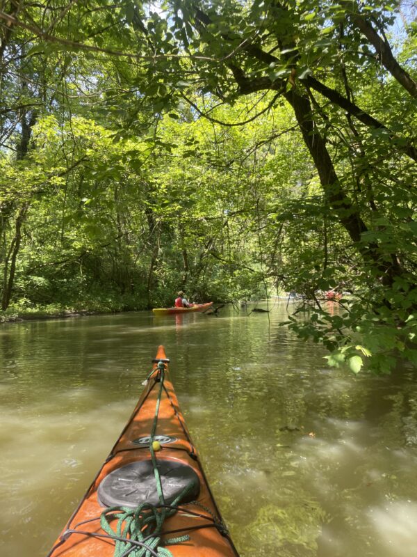 2025.06.28-07.01: Explorers Tisza Tavi Tábor tengerikajakosoknak KEZDŐ-ALAPOZÓ