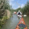 2025.06.28-07.01: Explorers Tisza Tavi Tábor tengerikajakosoknak KEZDŐ-ALAPOZÓ