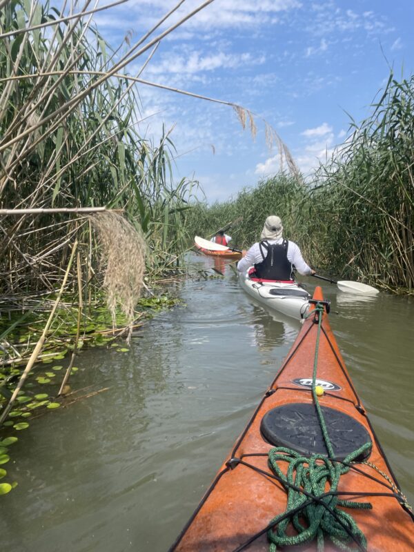 2025.06.28-07.01: Explorers Tisza Tavi Tábor tengerikajakosoknak KEZDŐ-ALAPOZÓ